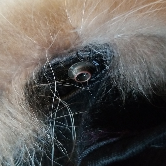 Crown Cap Racoon Fur Hat - Picture 12 of 14